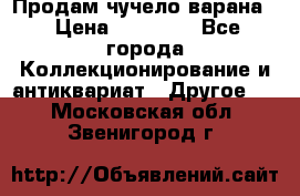 Продам чучело варана. › Цена ­ 15 000 - Все города Коллекционирование и антиквариат » Другое   . Московская обл.,Звенигород г.